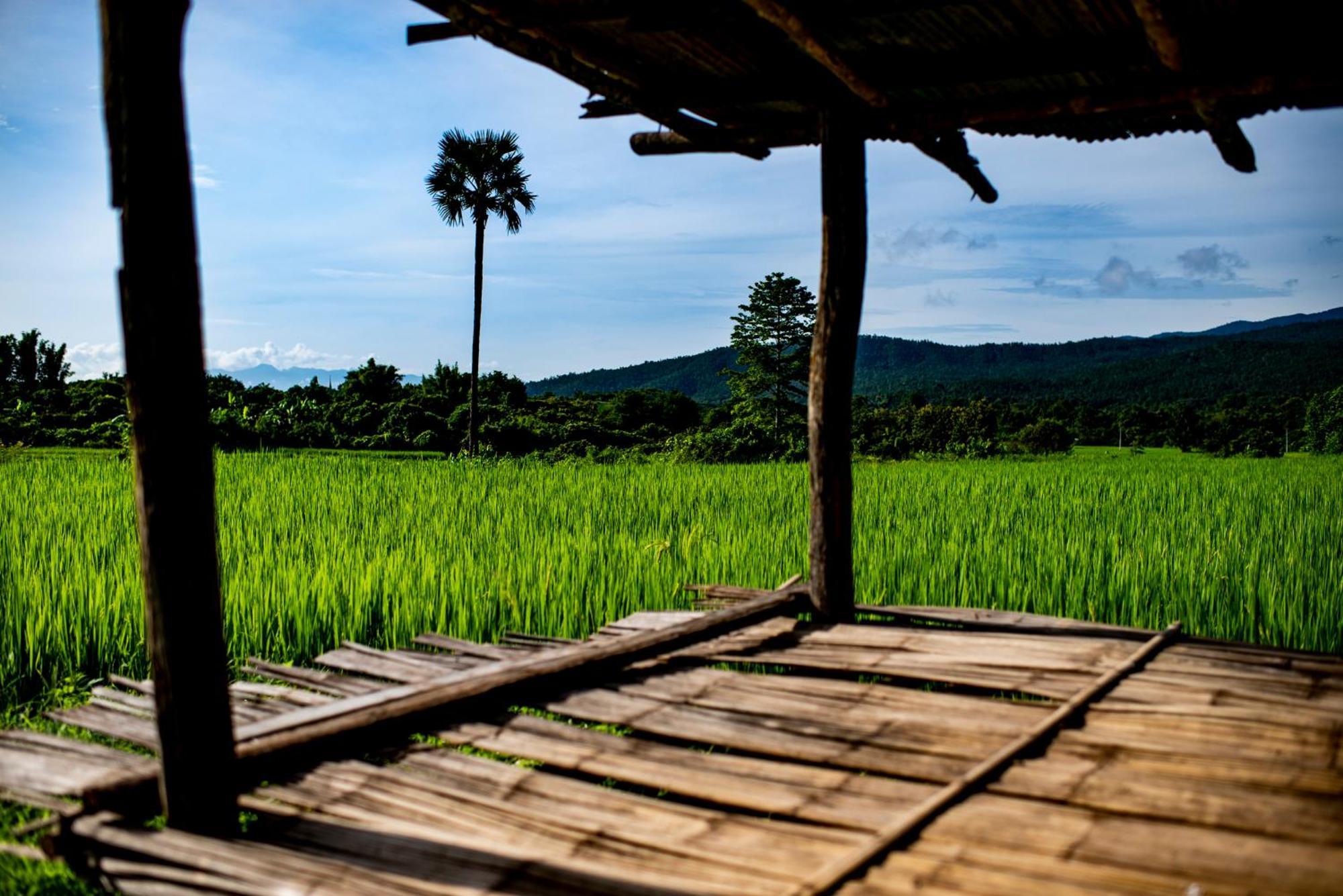Suan Sook Homestay Chom Thong Luaran gambar