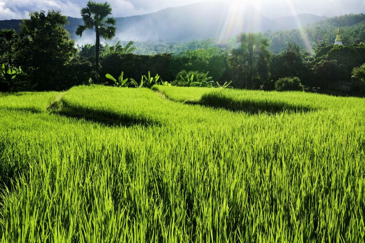 Suan Sook Homestay Chom Thong Luaran gambar